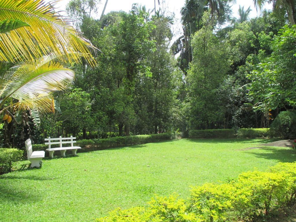 Alfred Colonial Bungalow & Spice Garden Kobbekaduwa Phòng bức ảnh